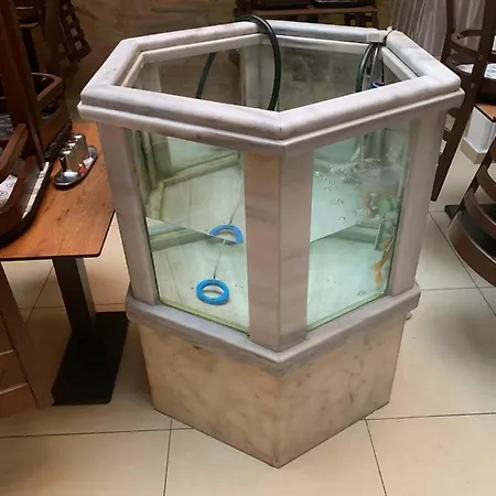 Adil * Κωνσταντινούπολη